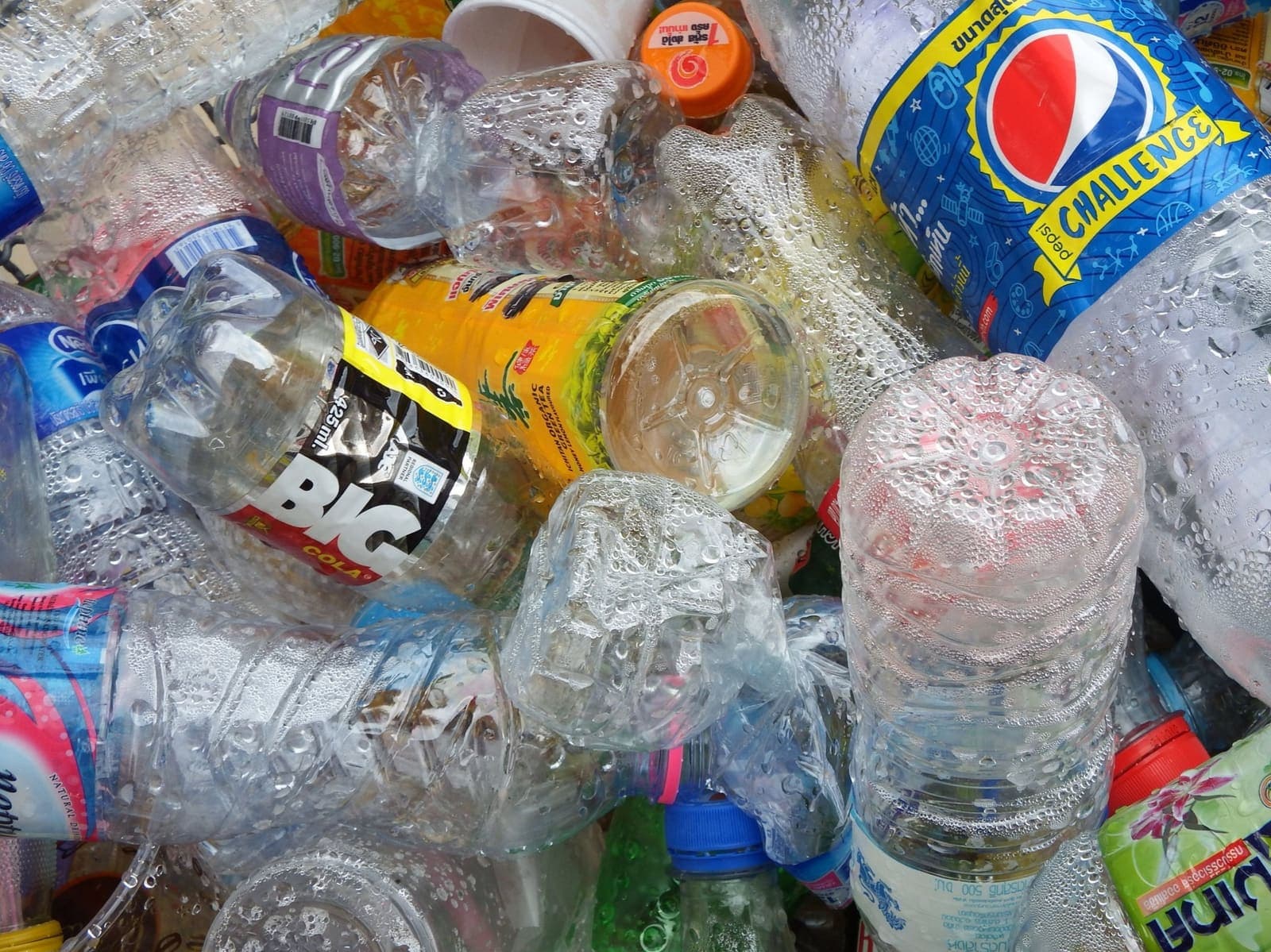 Garrafas plásticas amontoadas para reciclagem
